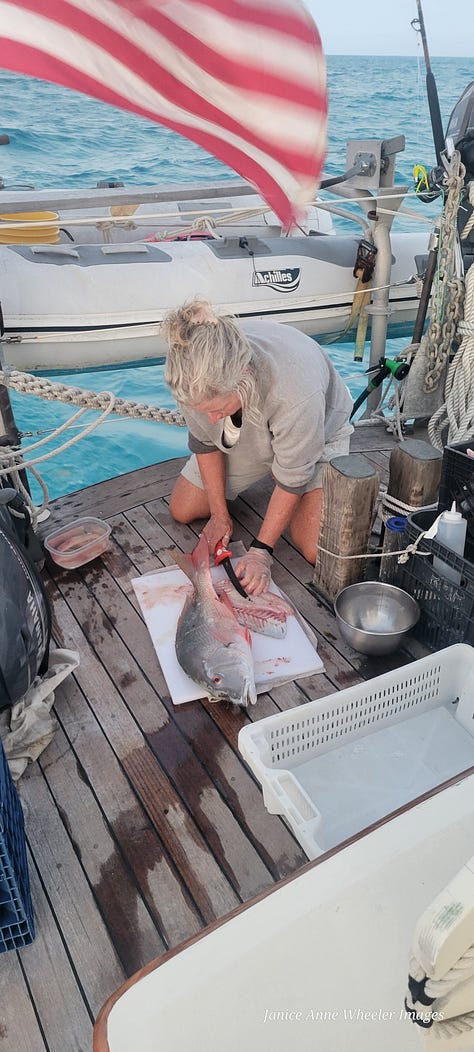 Mutton Snapper are plentiful in the Bahamas, Wing and Wing Sail configuration, and the biggest one we have ever seen! 