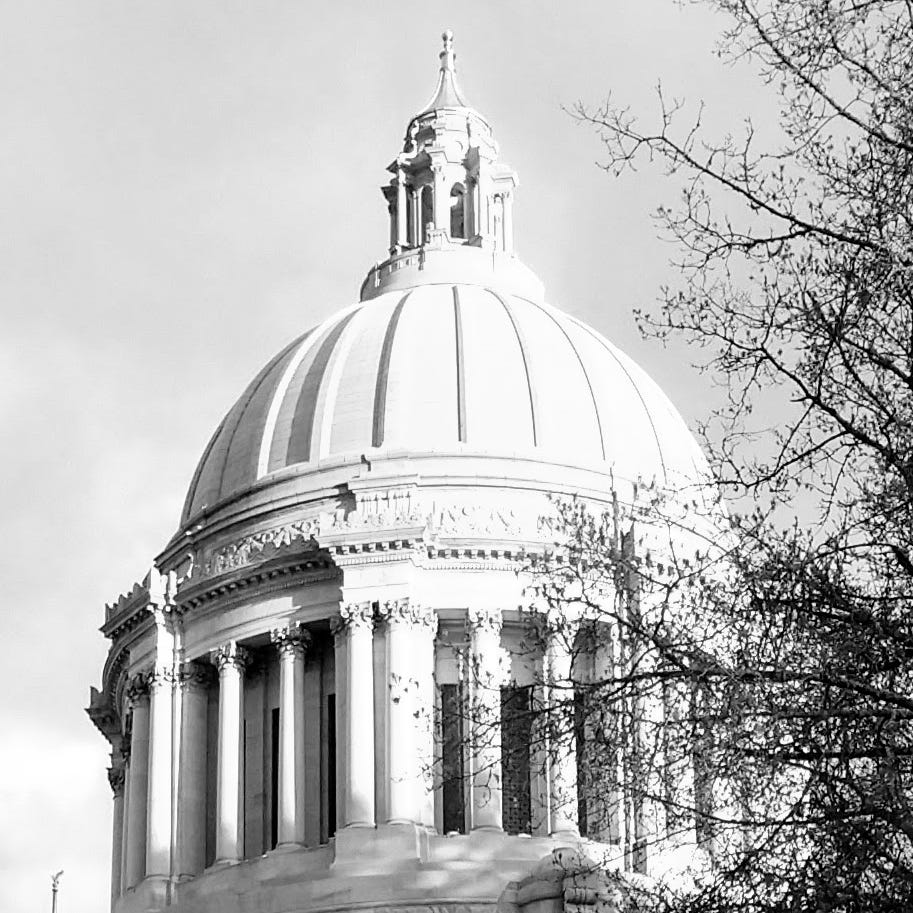 Political Correspondent’s Substack