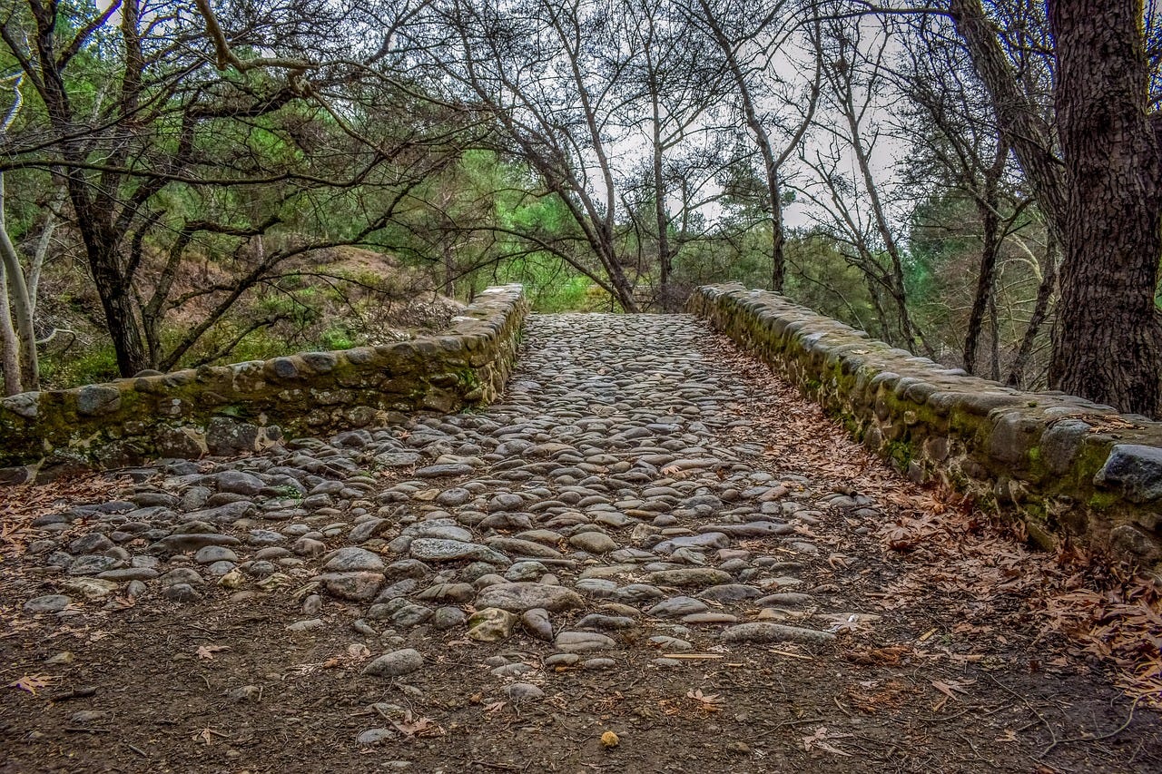 A cobblestone path bordered by low stone walls in late autumn