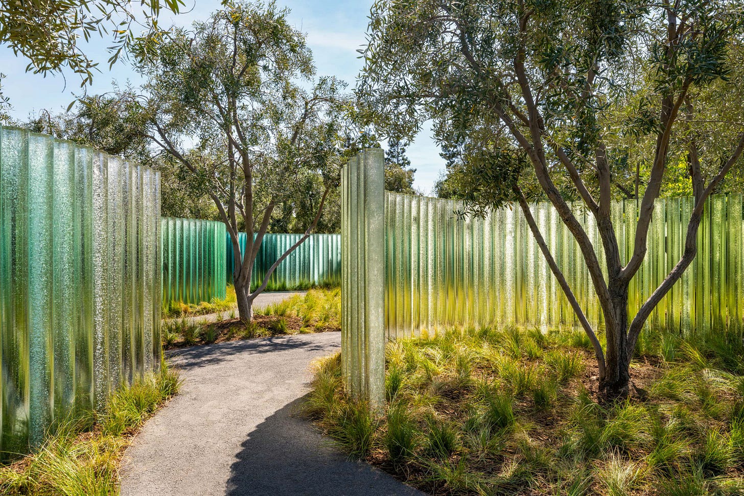 A wide view of Mirage at Apple Park Visitor Center. Footpaths and glass cylinders wind through an olive grove.