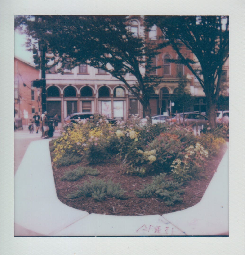 Polaroid of Esser Plaza Park in South Side.