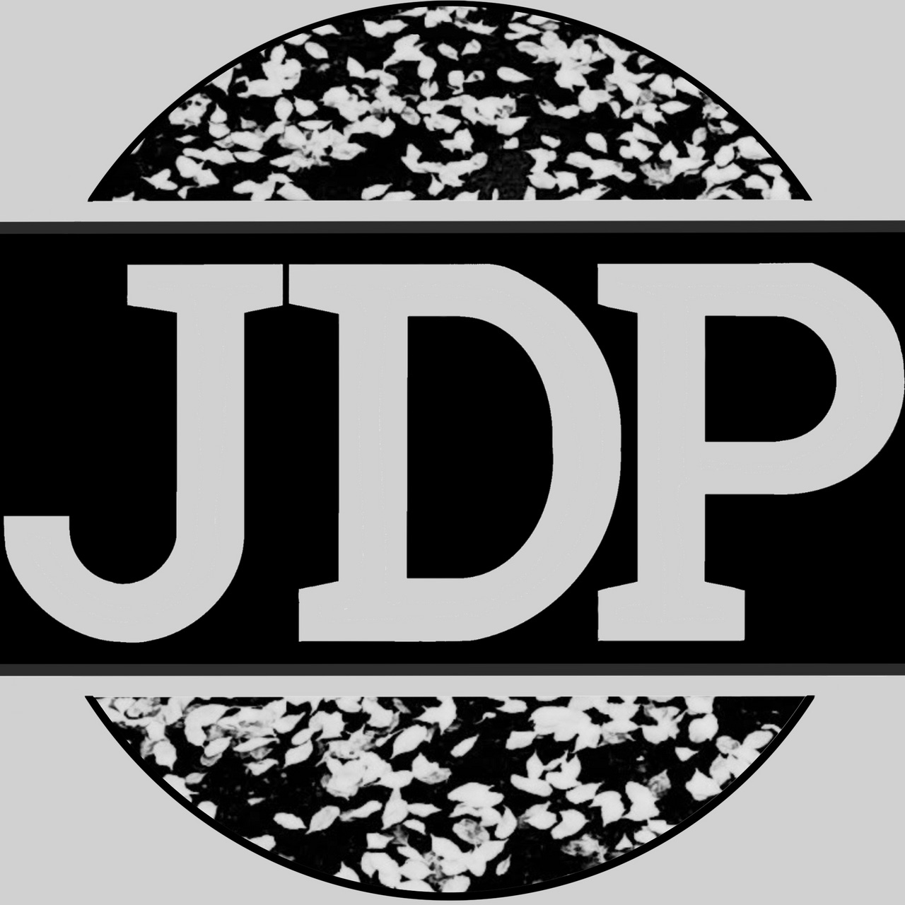 The Jason Dubow Project logo