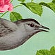 The Catbird Seat