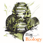 Big Biology