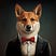 BowTiedDingo's avatar