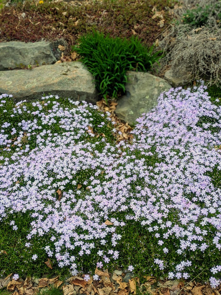Spring has sprung!