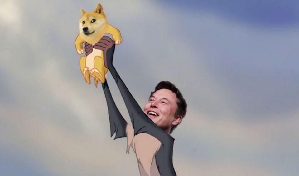 Image result for elon musk dogecoin