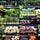 The Anti-Inflammatory Club