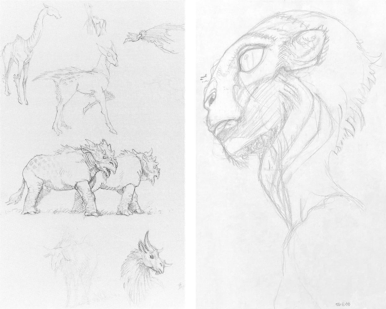 LEFT: Creature studies for PARADISE, Graphite Pencil on Paper, 12" x 9". A variety of creatures inspired by African wildlife but made alien. From top left, a tall necked beast, a nimble herd beast, a bird with buzzard like ring of its neck, a pair of pachyderms, and herd beasts with a pair of horns atop their heads and one protruding from the snout.  RIGHT: Head study for PARADISE, Graphite Pencil on Paper, 12" x 9". An ape-like alien in profile. It has a flat nose and sloping forehead that arches back over huge almond eyes. Three gill-like flaps form on its long, slender neck.