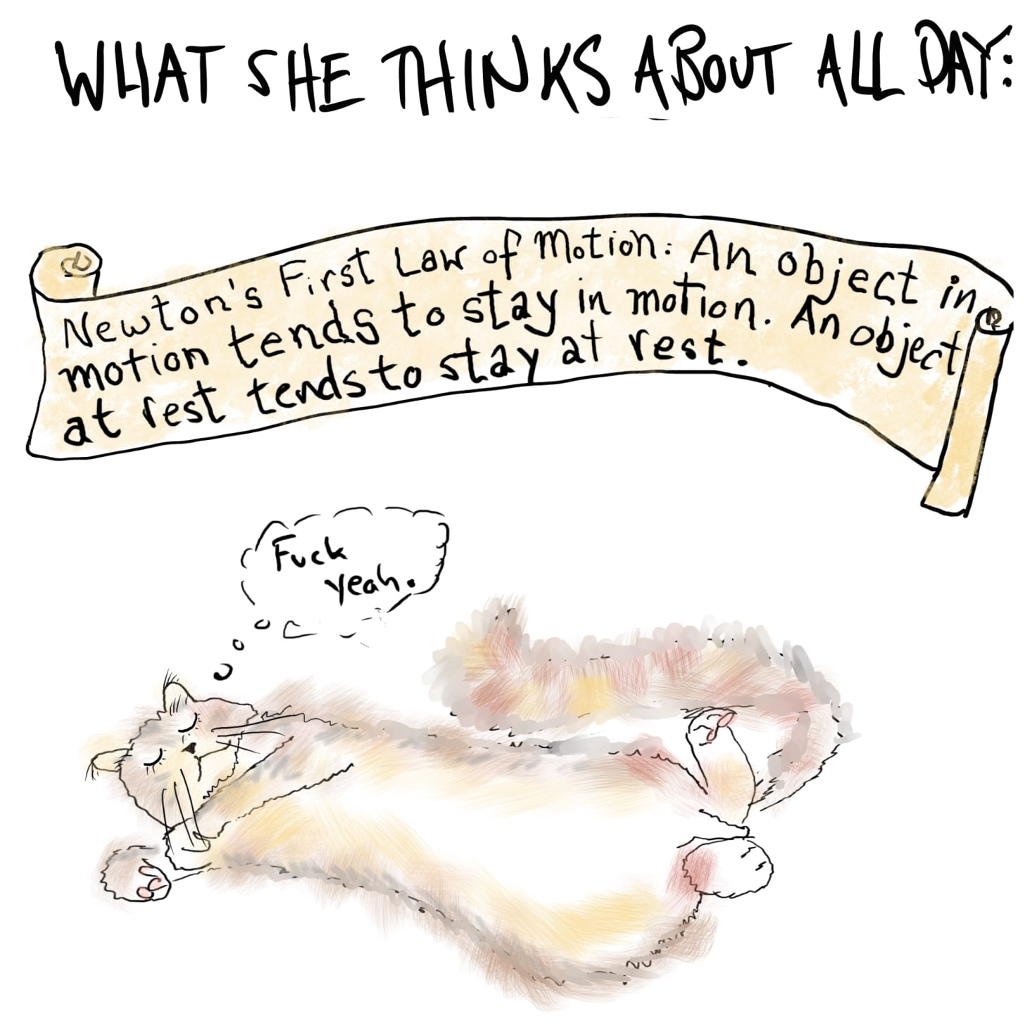 what a cat thinks about all day