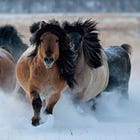On scheming bitches, Antarctic science side quests, extra-gorgeous ponies, and the Zodiac Killer: today's TERRIBLE advice