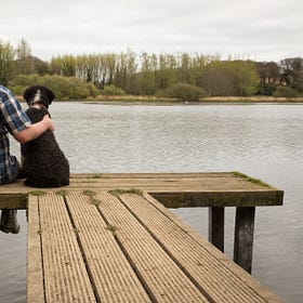 If you are struggling while caring for a pet with behavioral challenges, you are not alone 