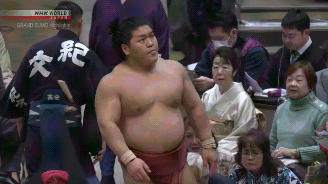 Sumo Stomp! | Tim Bissell | Substack