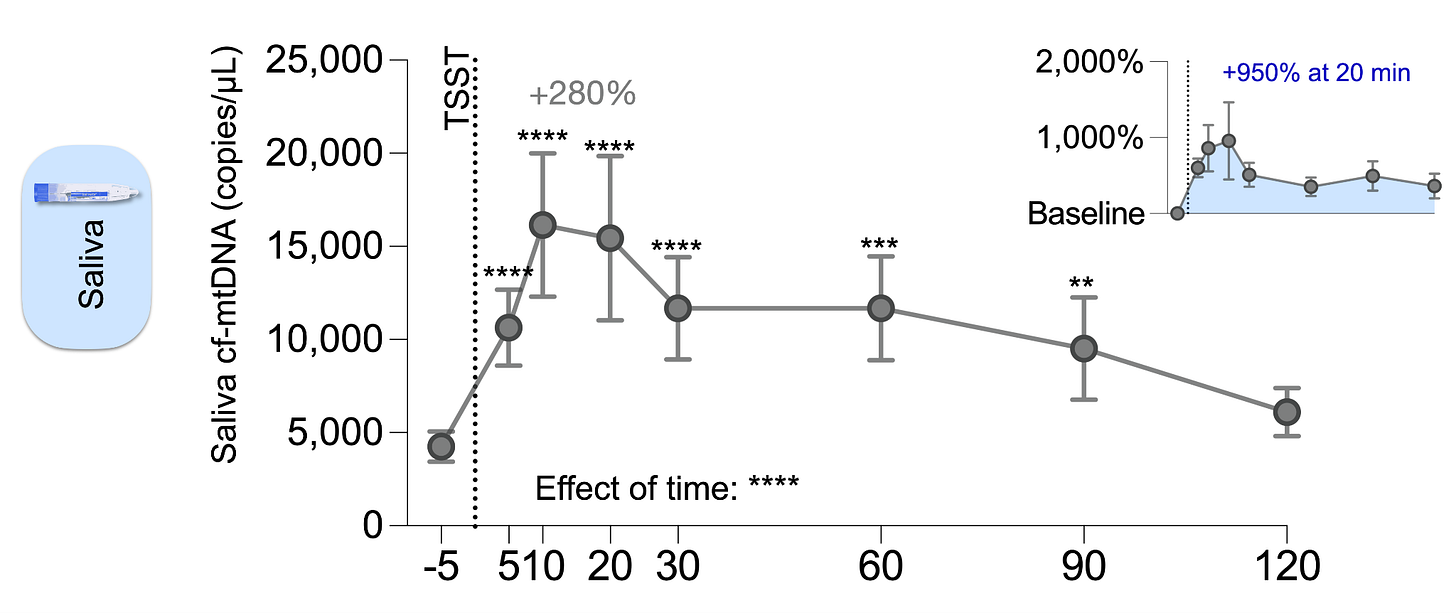 Graph showing how stress induces saliva cf-mtDNA increase. 