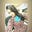 Sanjana Singh's avatar