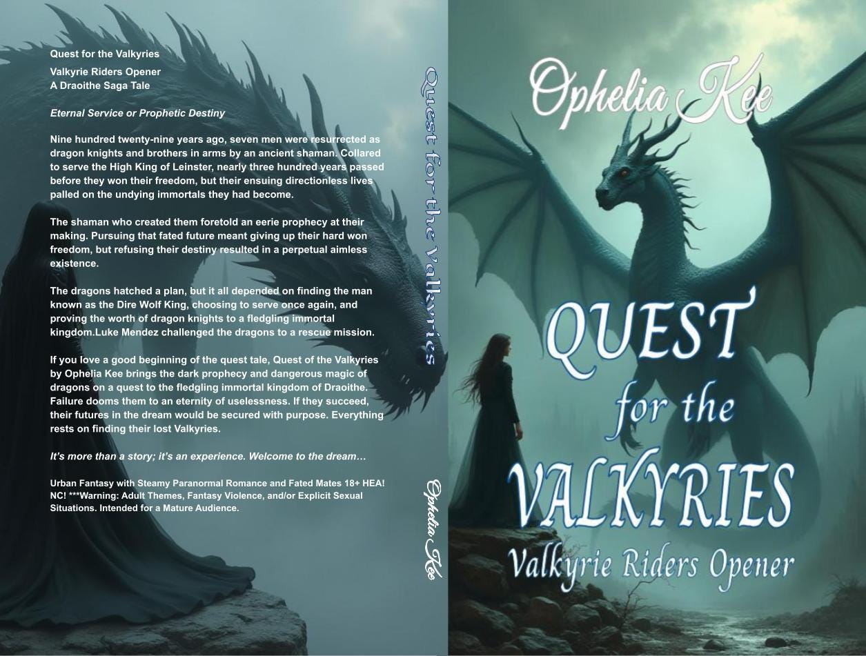 Quest for the Valkyries print wrap