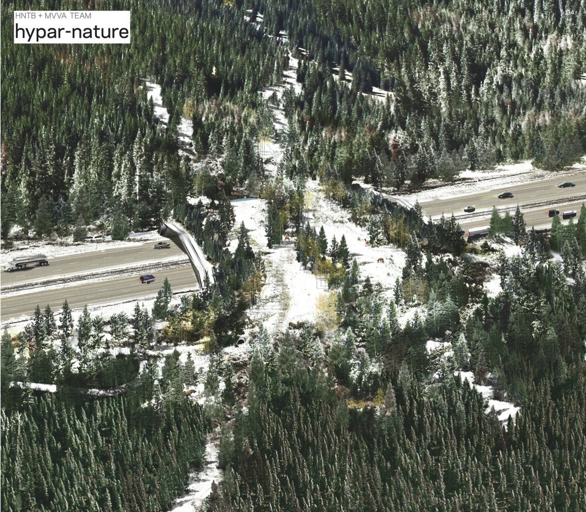 ARC Wildlife Crossing Competition winner / HNTB + Michael Van Valkenburgh & Associates,© HNTB and Michael Van Valkenburgh Associates Inc.