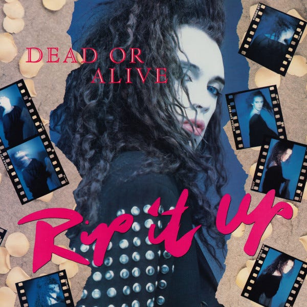 レア!デッド・オア・アライブ/Rip It Up 1987 ツアーパンフレット Dead or Alive: Rip It Up, 1987 / Rip It Up Live in Japan, 1988
