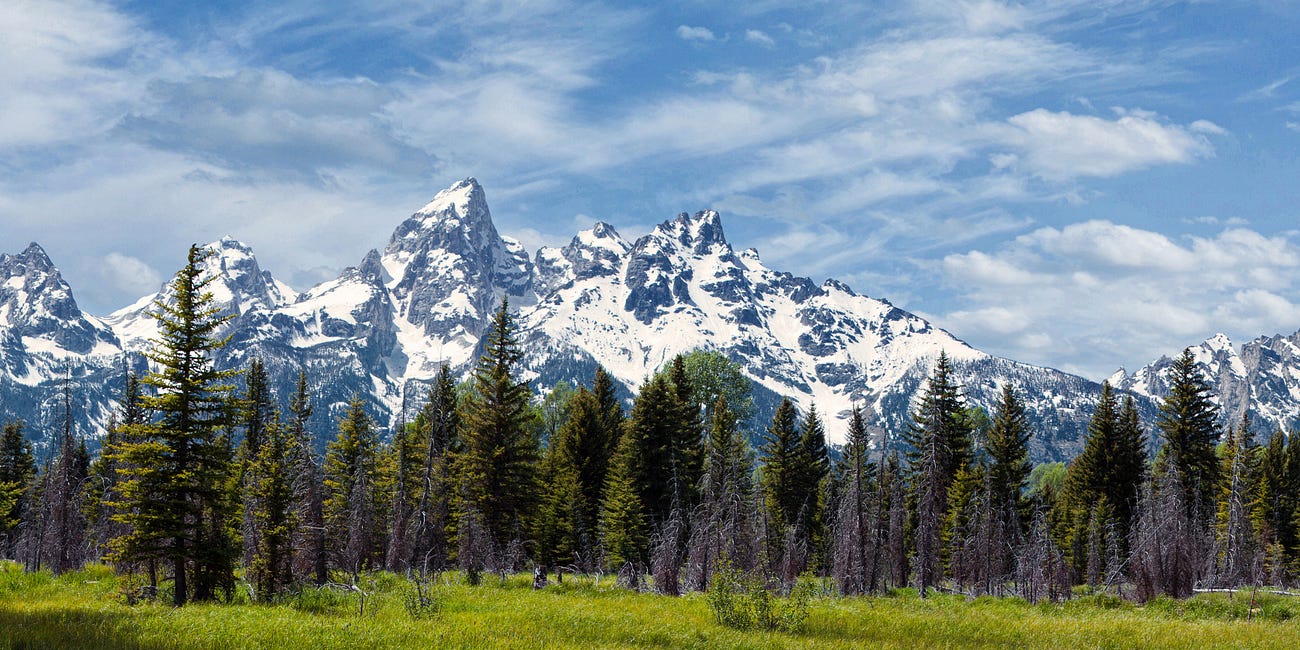 Free Indeed • Daily Devo 43