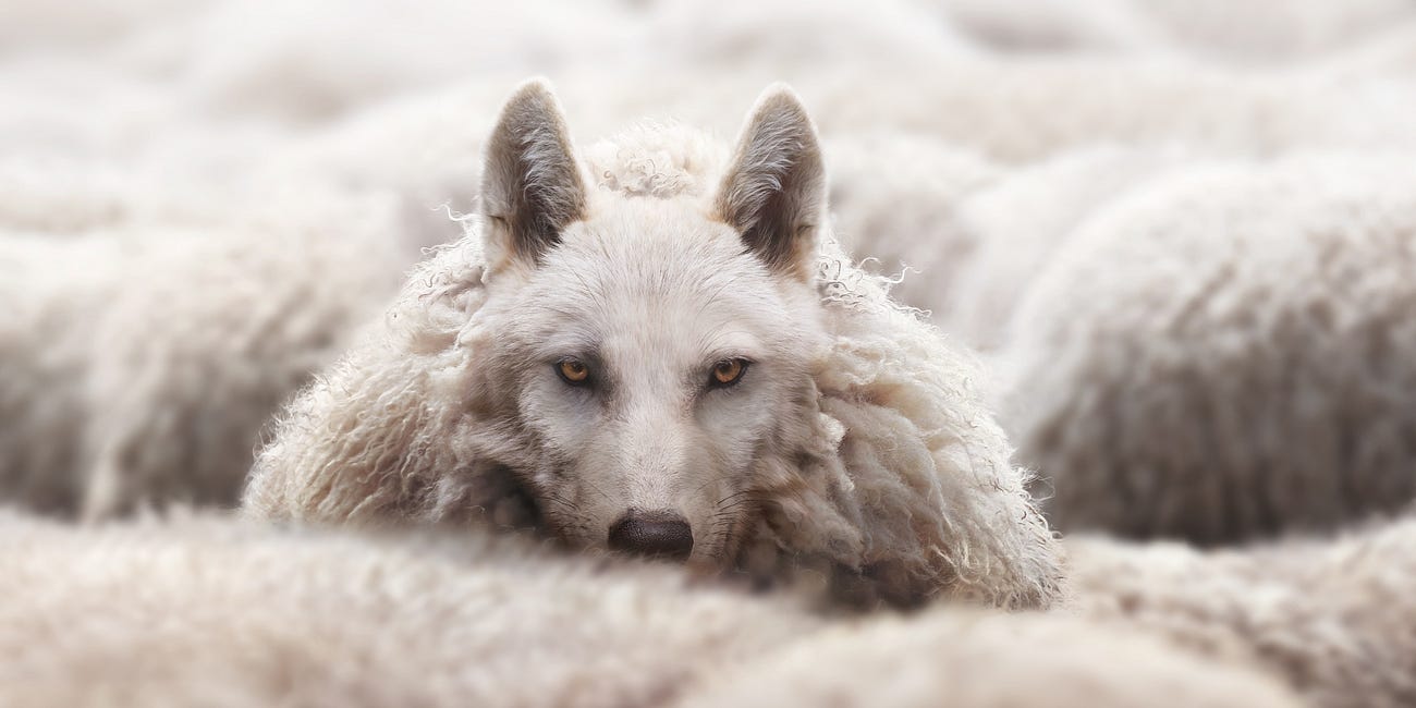 Who’s Actually Practicing Taqiyya?