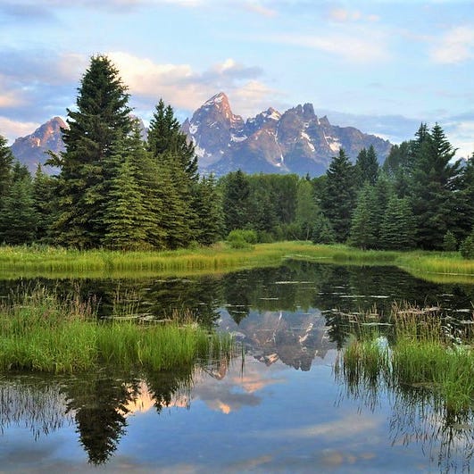 Leading Yourself to Lead Others