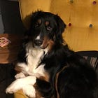 Hot Takes with Hank - Inflayshun, Consensus and Modelling