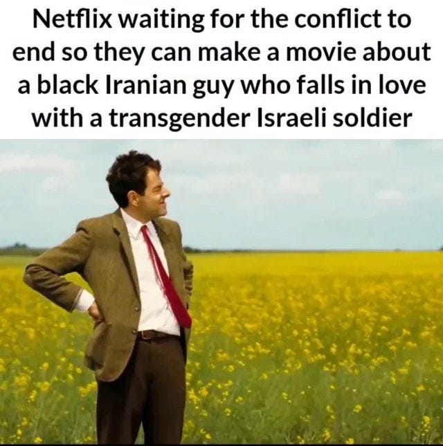 A man in a brown suit and red tie stands with hands on hips, looking over a field of yellow flowers under a clear sky. The text overlay reads "Netflix waiting for the conflict to end so they can make a movie about a black Iranian guy who falls in love with a transgender Israeli soldier."
