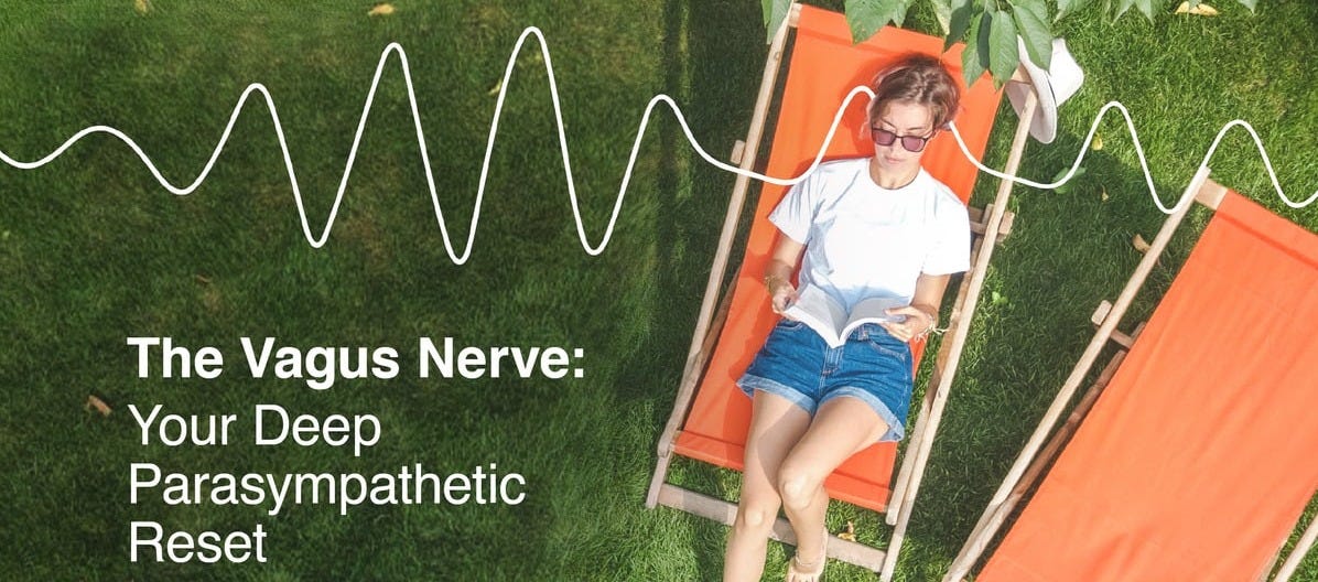 The Vagus Nerve