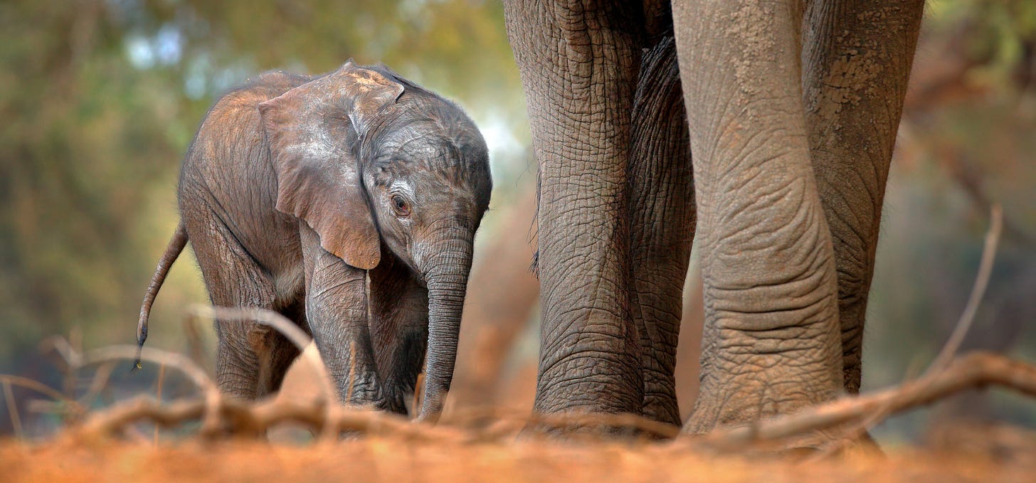 Article content Article content