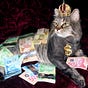 Laura Rocha's avatar