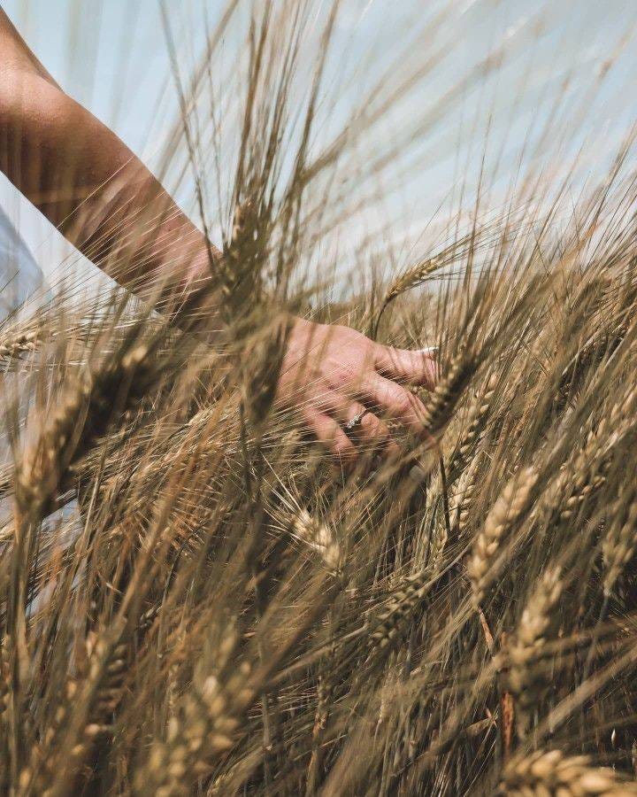 No photo description available.