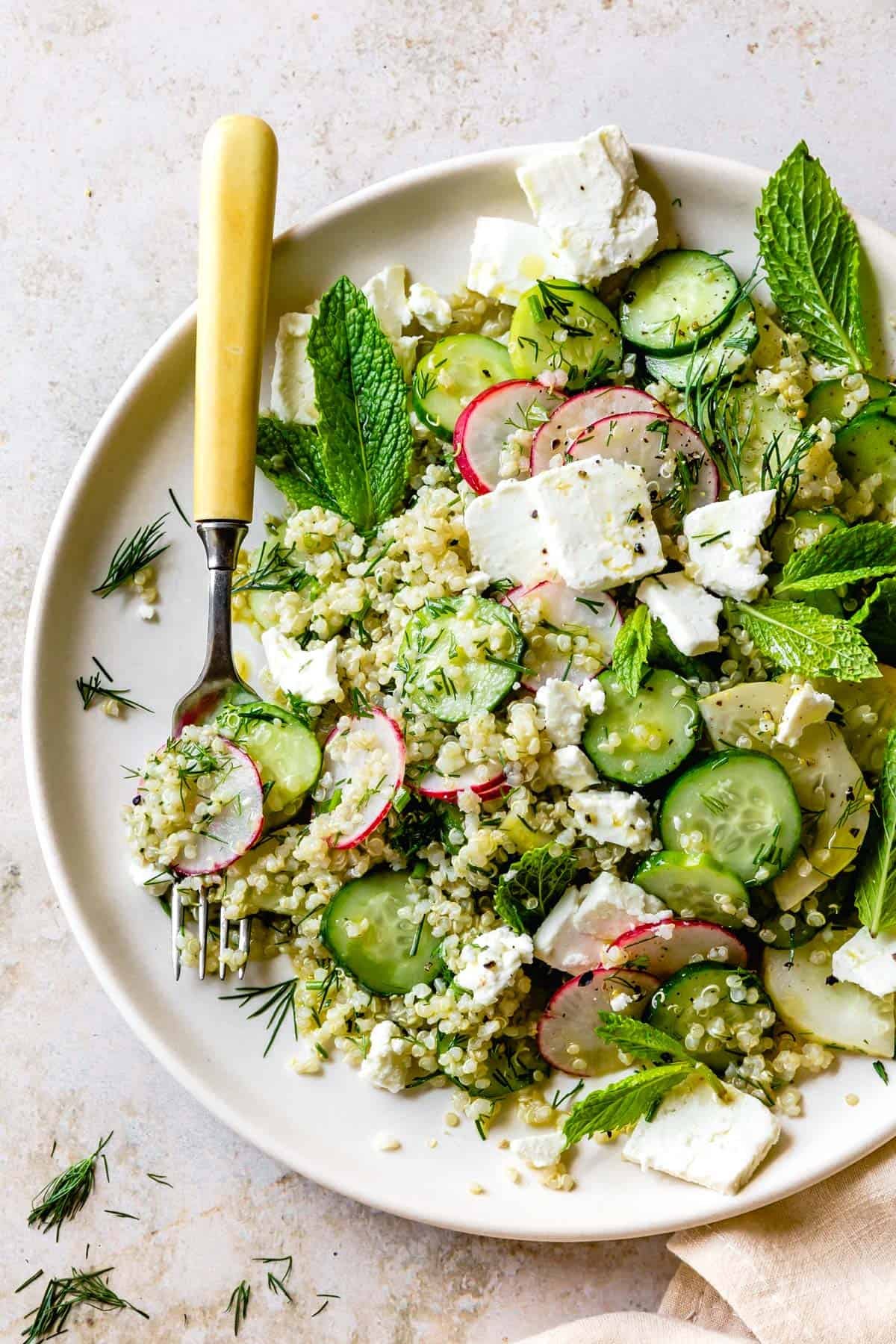 delicious Quinoa Cucumber Salad with Feta, Dill & Mint on a plate with fork delicious Quinoa Cucumber Salad with Feta, Dill & Mint on a plate with fork