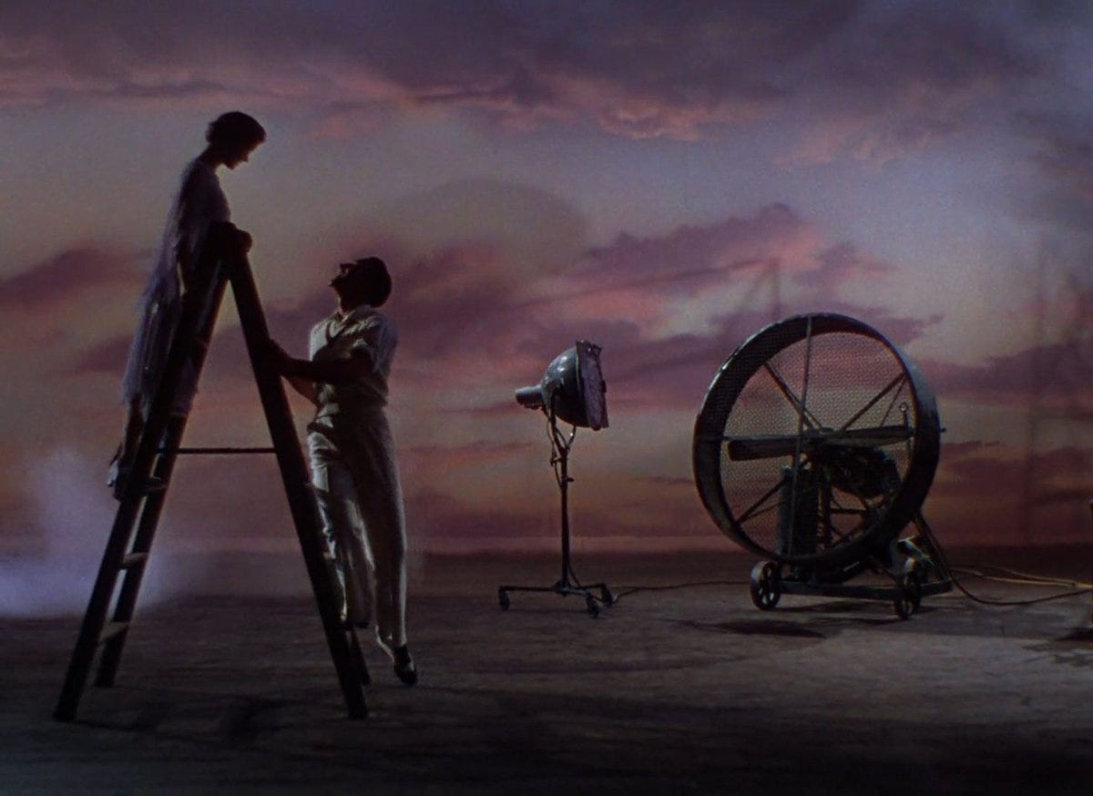One Perfect Shot on X: "SINGIN' IN THE RAIN (1952) Cinematography by Harold  Rosson Directed by Gene Kelly, Stanley Donen Buy via Amazon:  https://t.co/T5GcunVjYi" / X