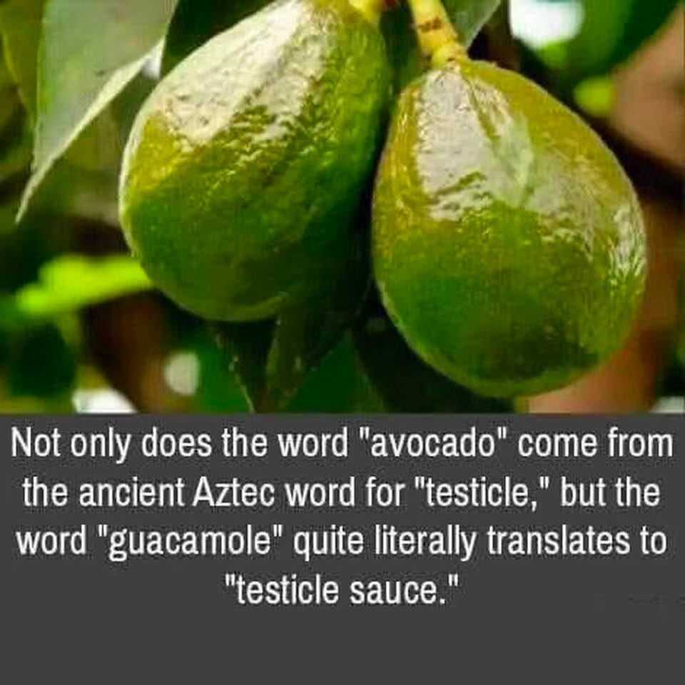 A meme with two avocados looking a little like green testicles.