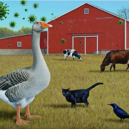 Avian Influenza A (H5N1) in Cats, Cows, and Humans: Symptoms, Timeline, Antiviral Therapies, and Vaccine Development - A Comprehensive Review