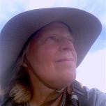 Paddle Pilgrim