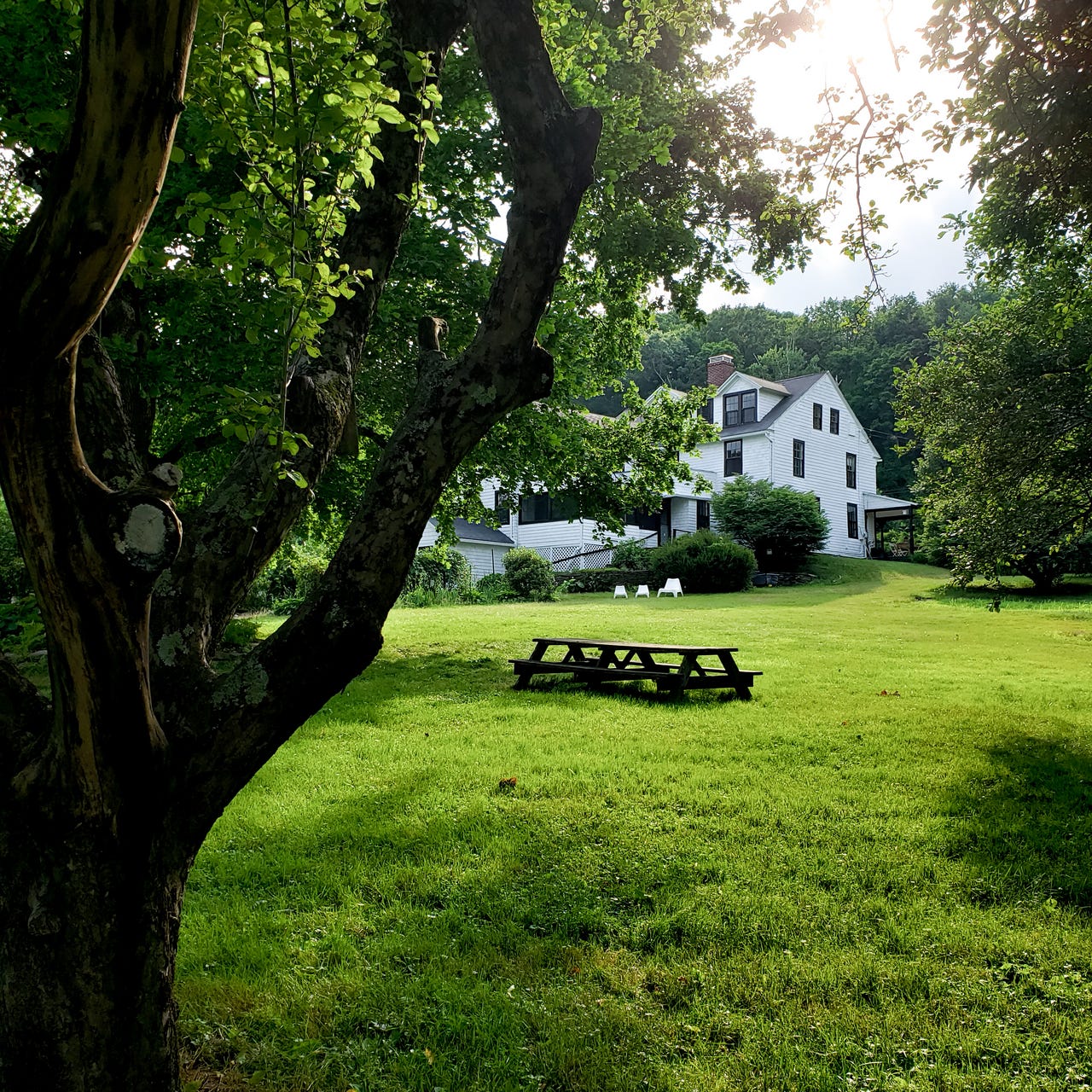 "The Art of Living in New England"