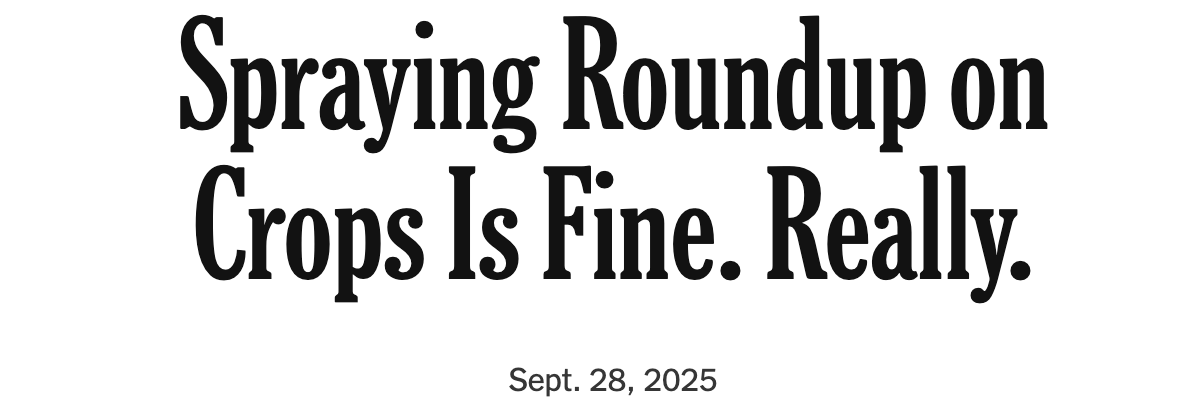 image 3.png image 3.png