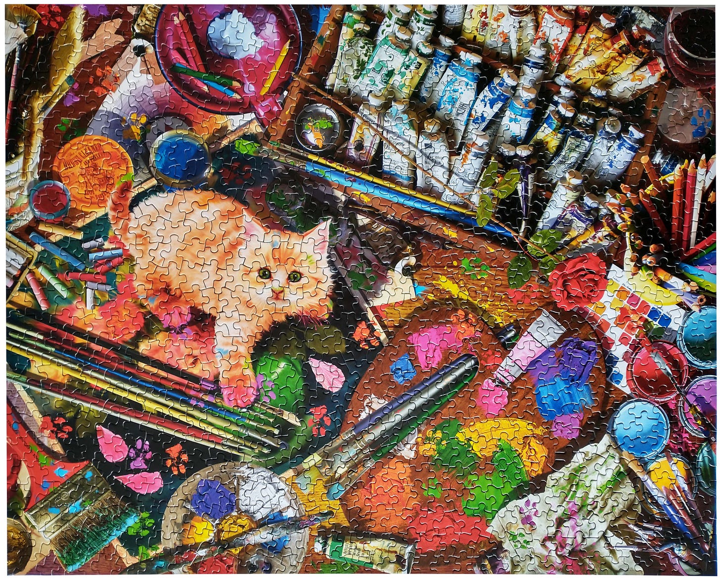 Springbok Unexpected Mews Jigsaw Puzzle