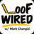 LooFWIRED w/ Mark Changizi