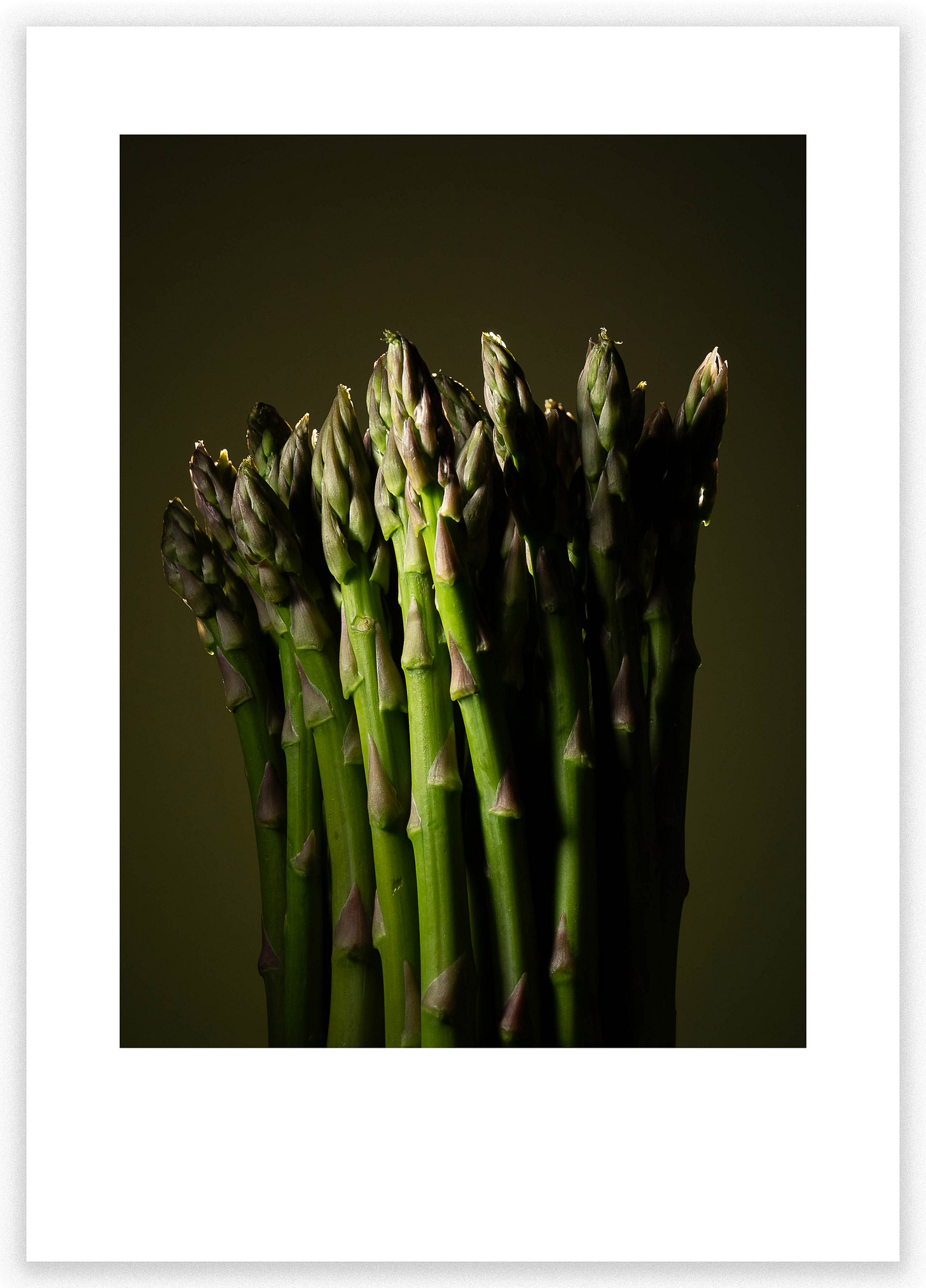 Simulated print on A4