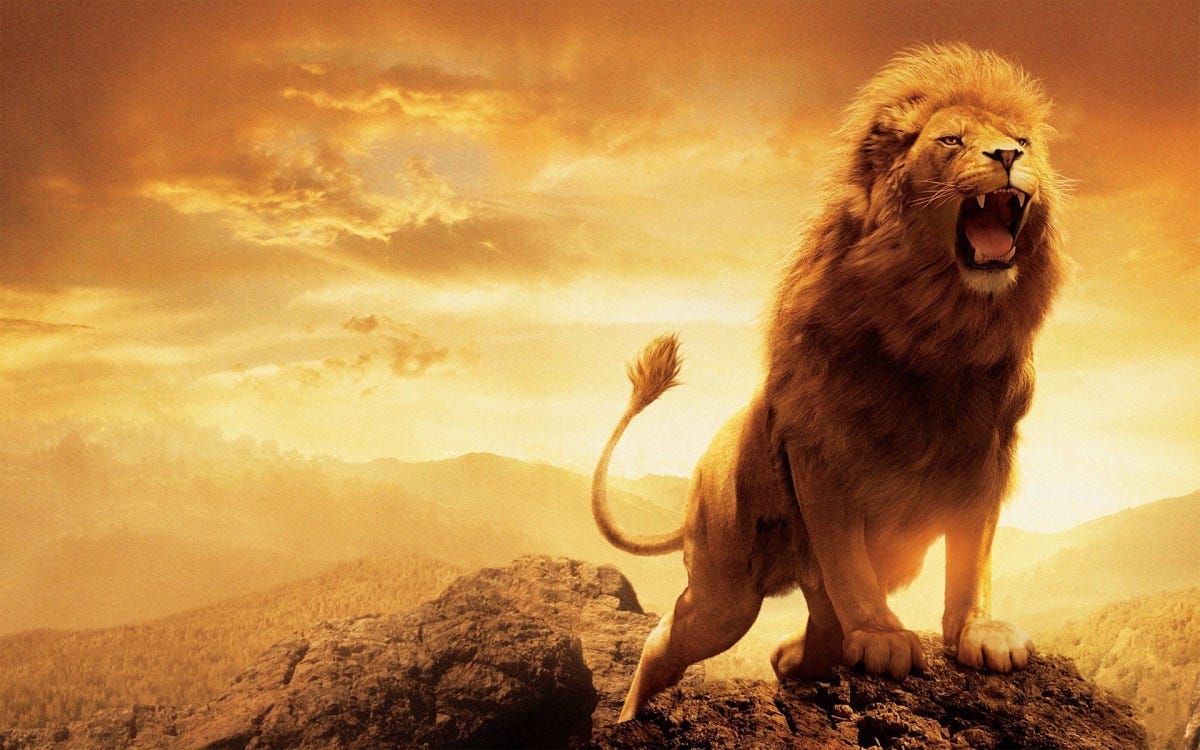 I Heard The Lion of Judah Roar “REDEMPTION!” Over Your Life! – Oceans in  the Desert
