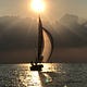 Stinger - a story of a man, a sailboat, and regret. 