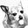 Sharon R.'s avatar