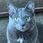 Kenya's avatar