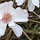 Value-Driven Pricing with Gemini