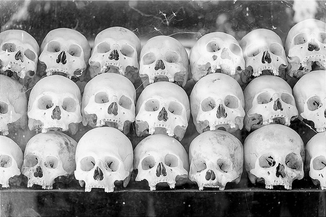 a bunch of skulls that are in a glass case a bunch of skulls that are in a glass case