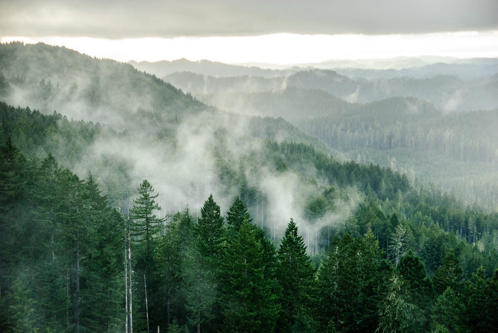 Cascadia - For the Wild — Cascadia Department of Bioregion
