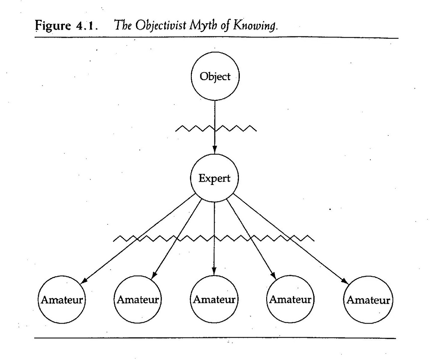 diagram showing how an expert controls access to knowledge