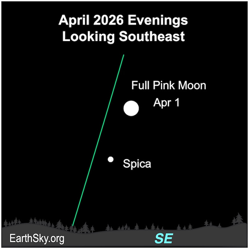 Sky chart: Round white full moon and dot for Spica along the slanted green eclipic line.